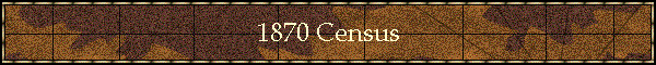 1870 Census