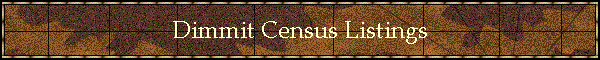 Dimmit Census Listings